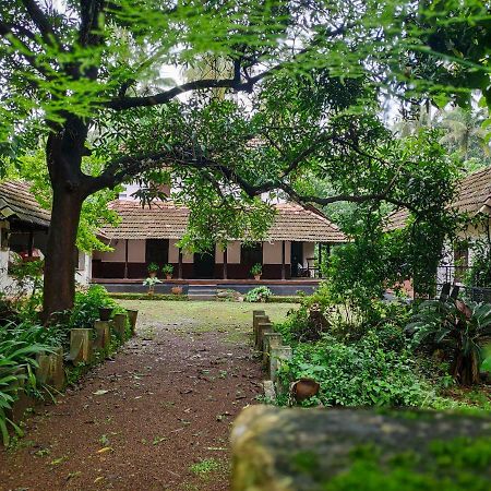 Vila Meadows Thrissur Exteriér fotografie
