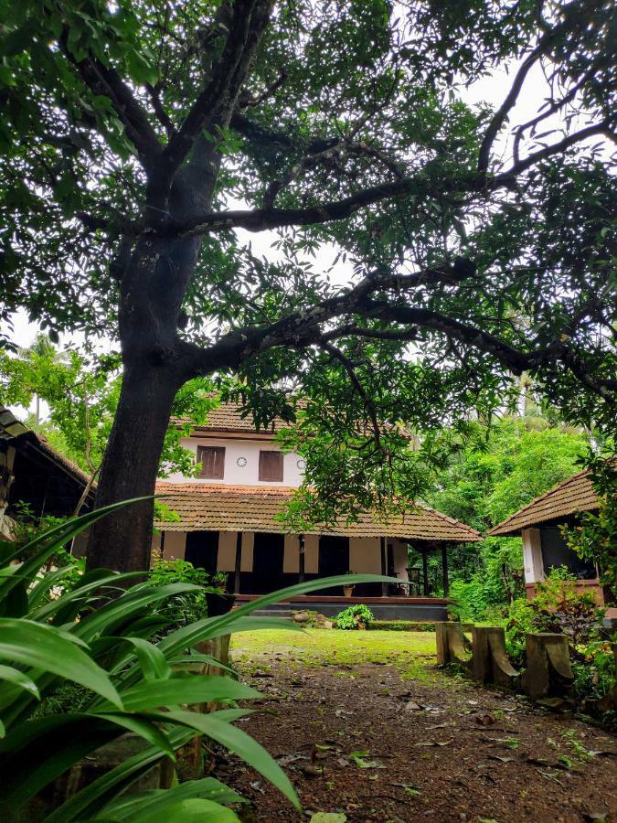 Vila Meadows Thrissur Exteriér fotografie